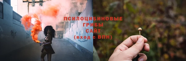 сатива Нея