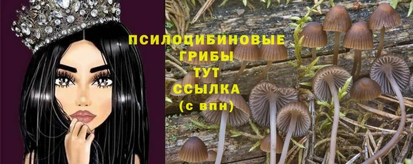 ECSTASY Нефтекумск