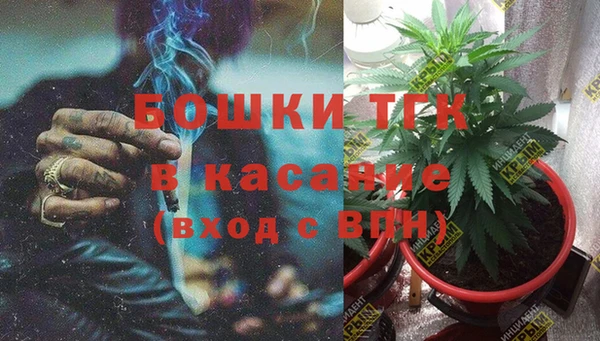 ECSTASY Нефтекумск