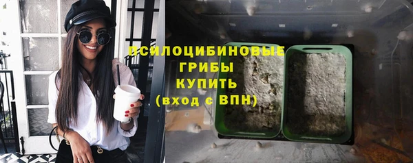 ECSTASY Нефтекумск